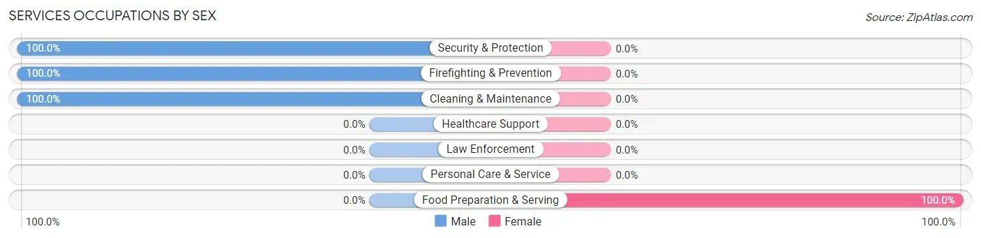 Services Occupations by Sex in Hinsdale