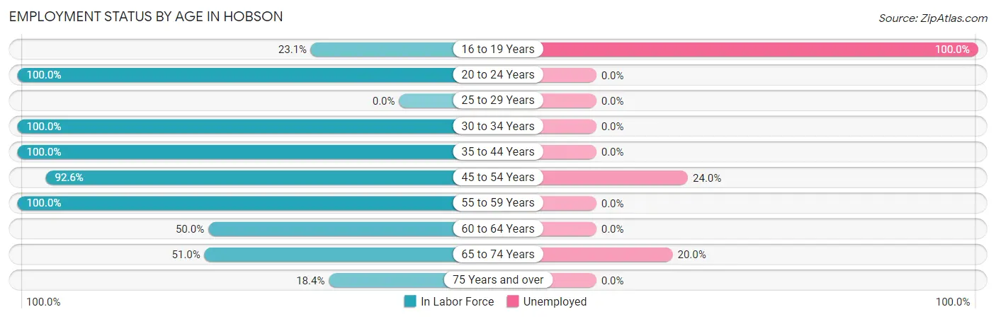 Employment Status by Age in Hobson