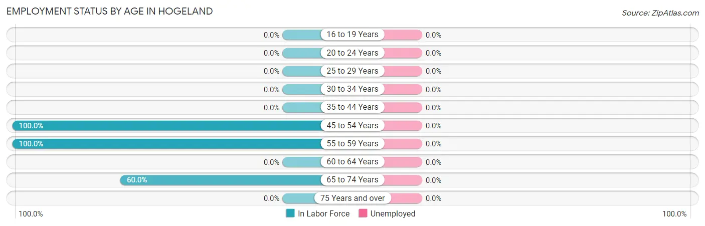 Employment Status by Age in Hogeland