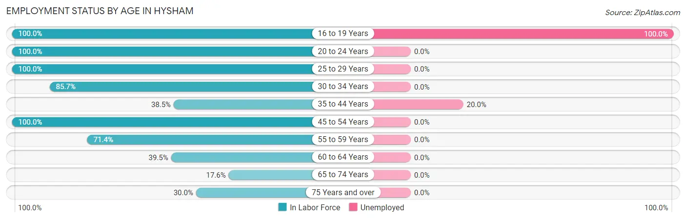 Employment Status by Age in Hysham