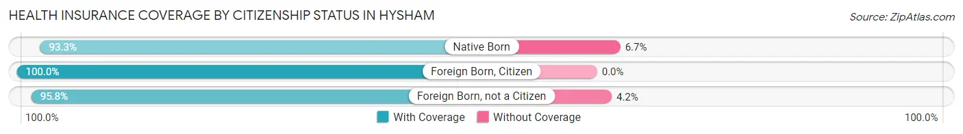 Health Insurance Coverage by Citizenship Status in Hysham