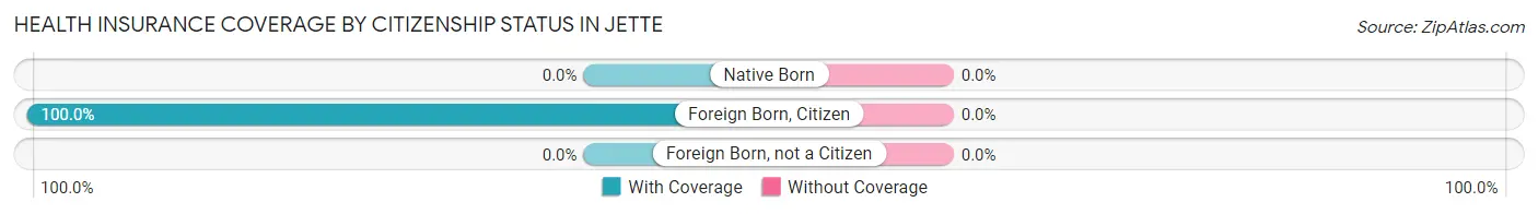 Health Insurance Coverage by Citizenship Status in Jette