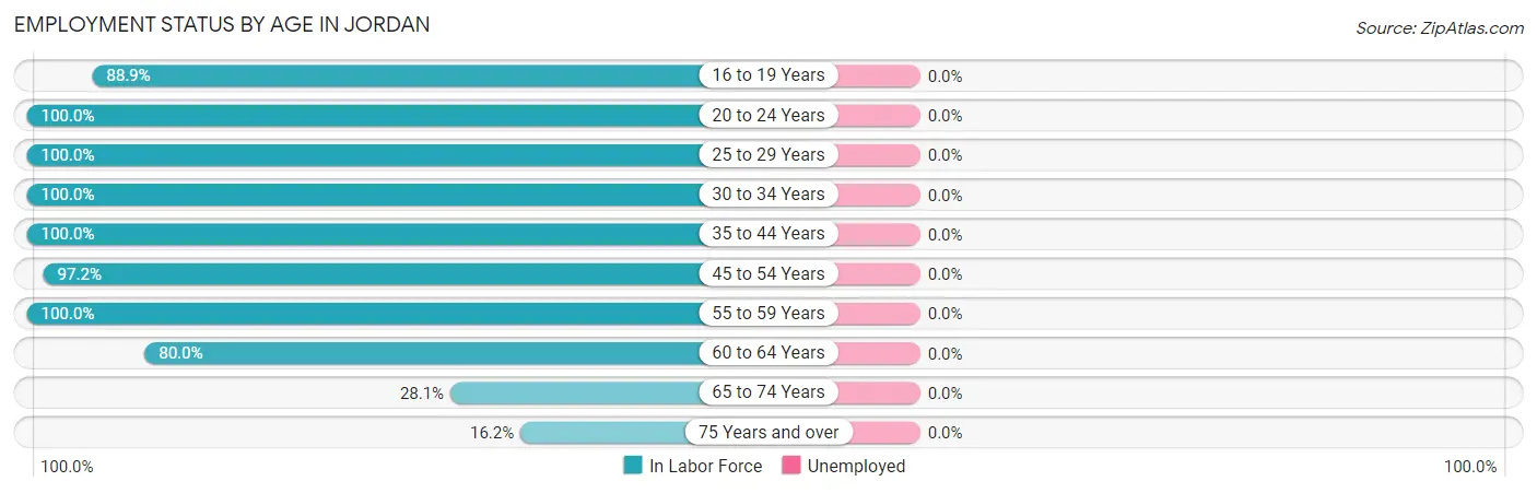 Employment Status by Age in Jordan