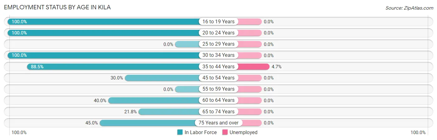 Employment Status by Age in Kila