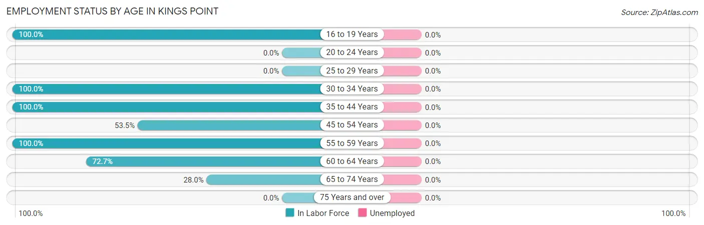 Employment Status by Age in Kings Point