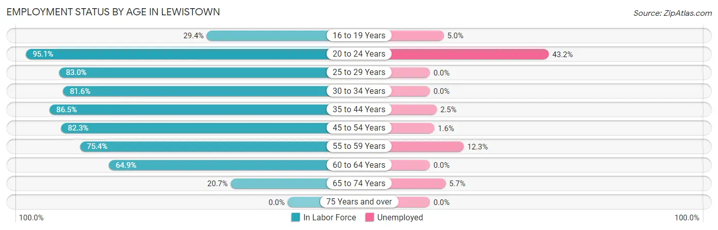 Employment Status by Age in Lewistown