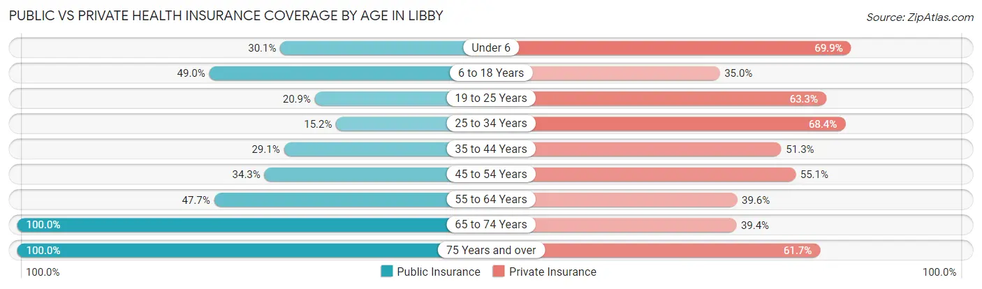 Public vs Private Health Insurance Coverage by Age in Libby