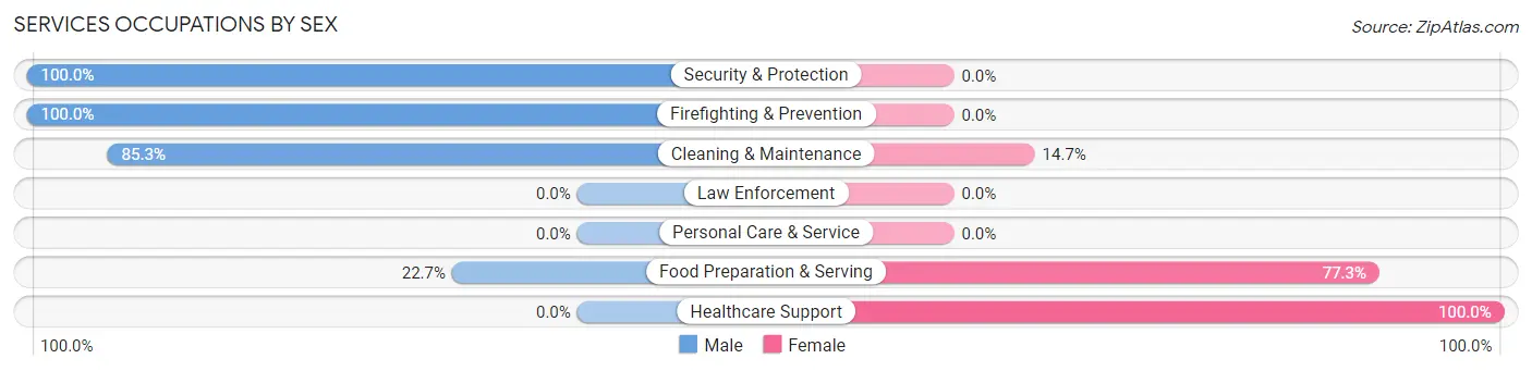Services Occupations by Sex in Lincoln