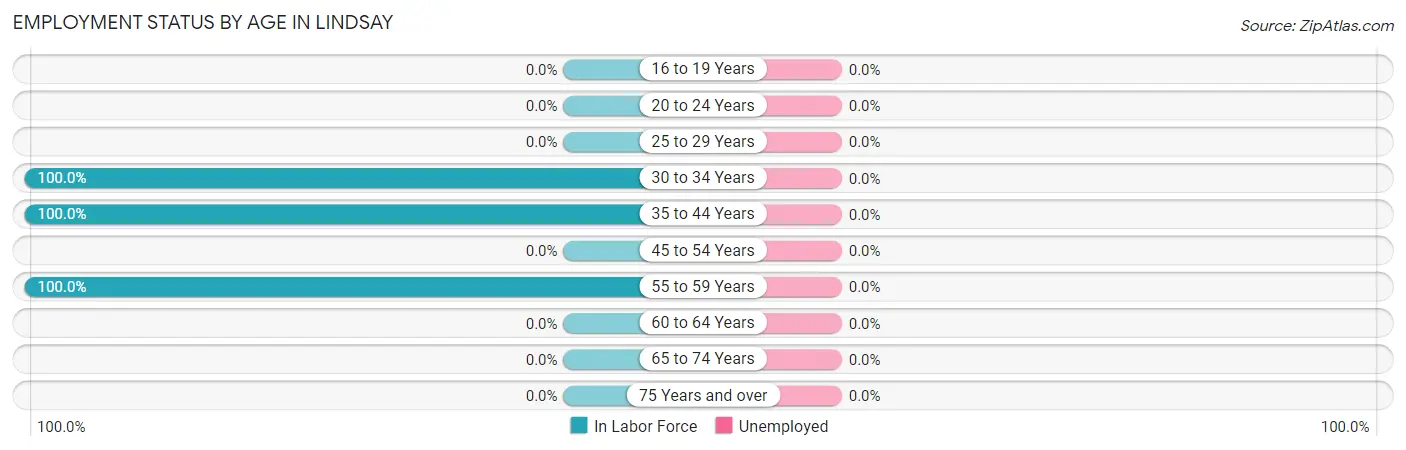 Employment Status by Age in Lindsay