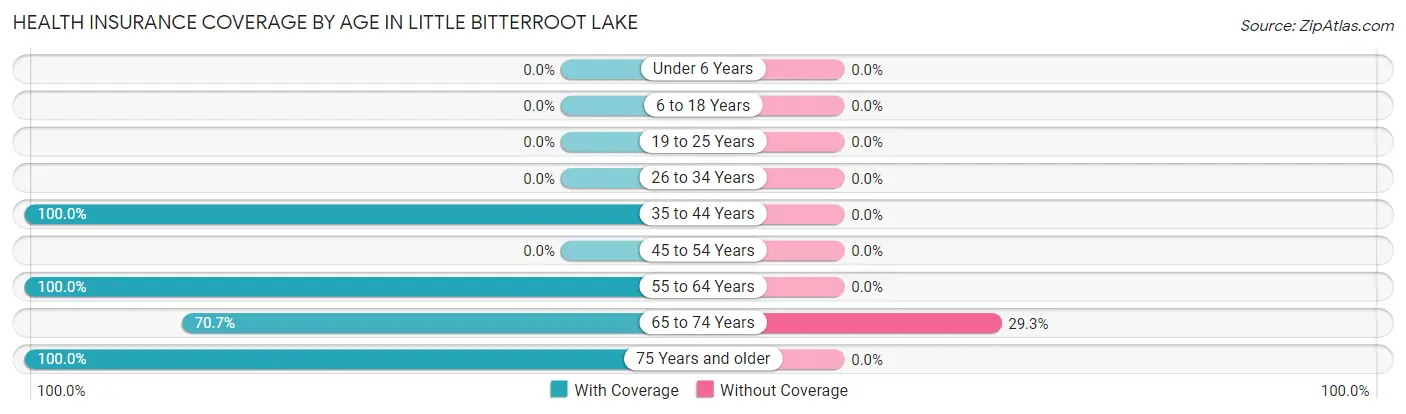 Health Insurance Coverage by Age in Little Bitterroot Lake
