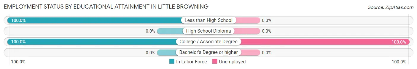 Employment Status by Educational Attainment in Little Browning