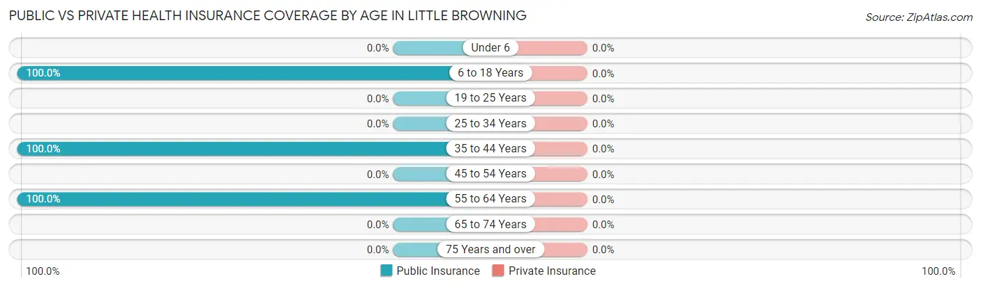 Public vs Private Health Insurance Coverage by Age in Little Browning