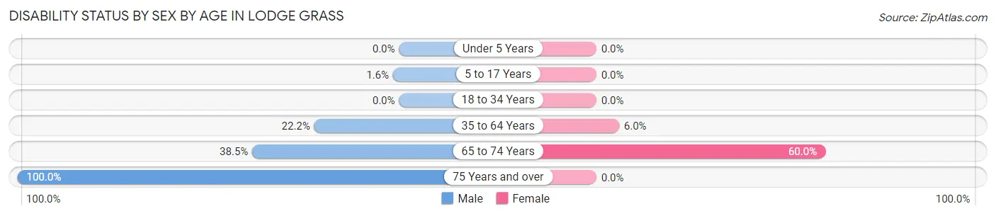 Disability Status by Sex by Age in Lodge Grass