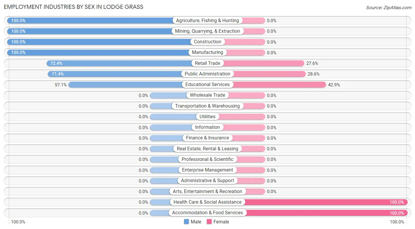 Employment Industries by Sex in Lodge Grass