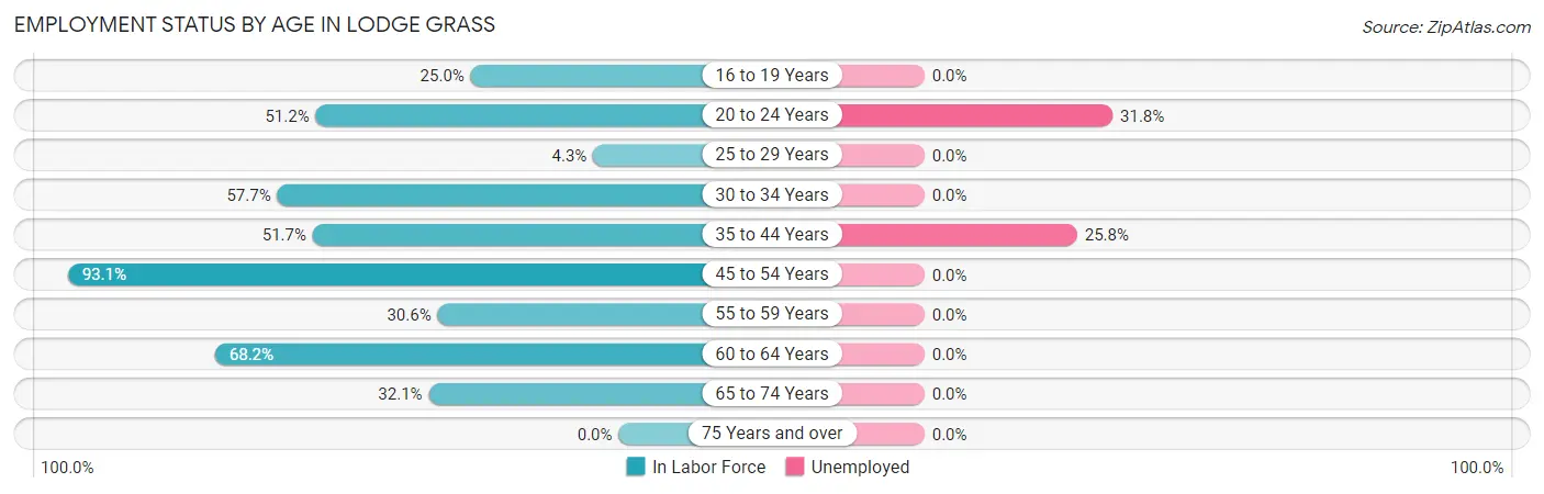 Employment Status by Age in Lodge Grass