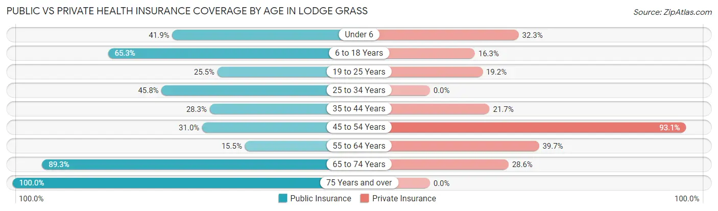 Public vs Private Health Insurance Coverage by Age in Lodge Grass