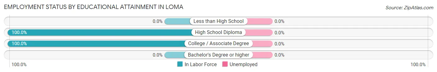 Employment Status by Educational Attainment in Loma