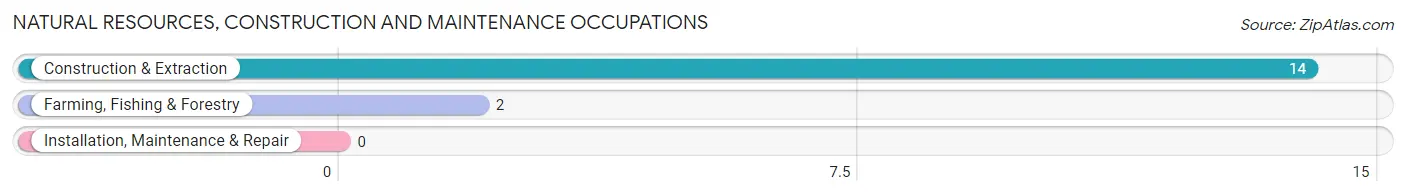 Natural Resources, Construction and Maintenance Occupations in Lonepine