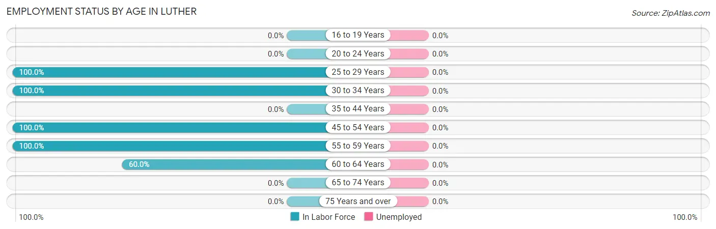 Employment Status by Age in Luther