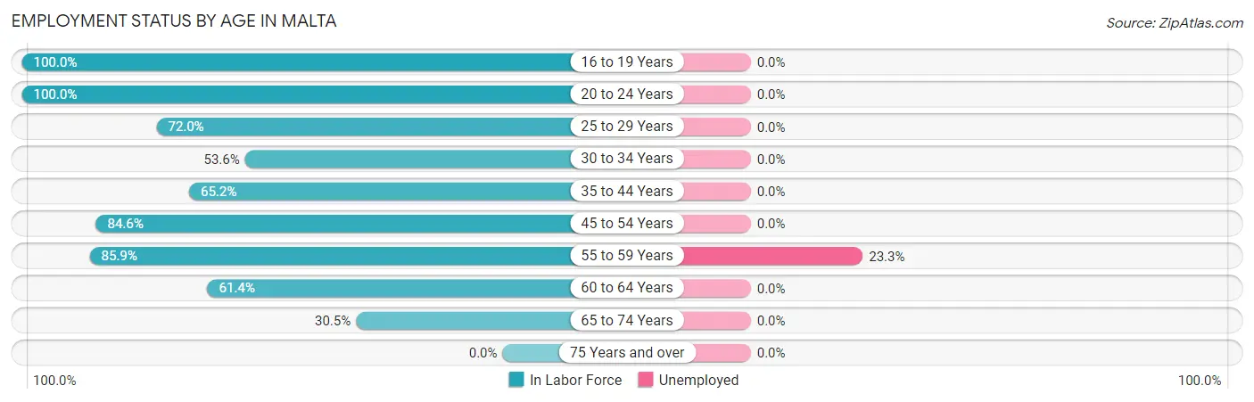 Employment Status by Age in Malta