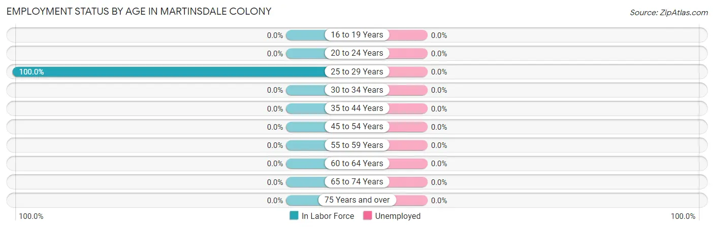 Employment Status by Age in Martinsdale Colony