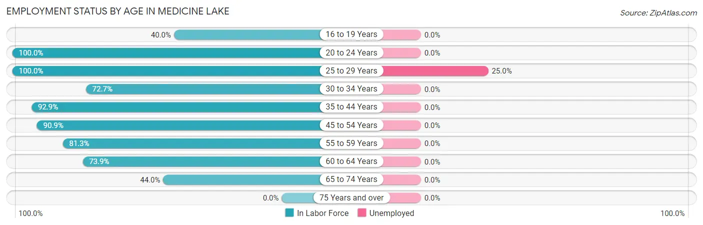 Employment Status by Age in Medicine Lake