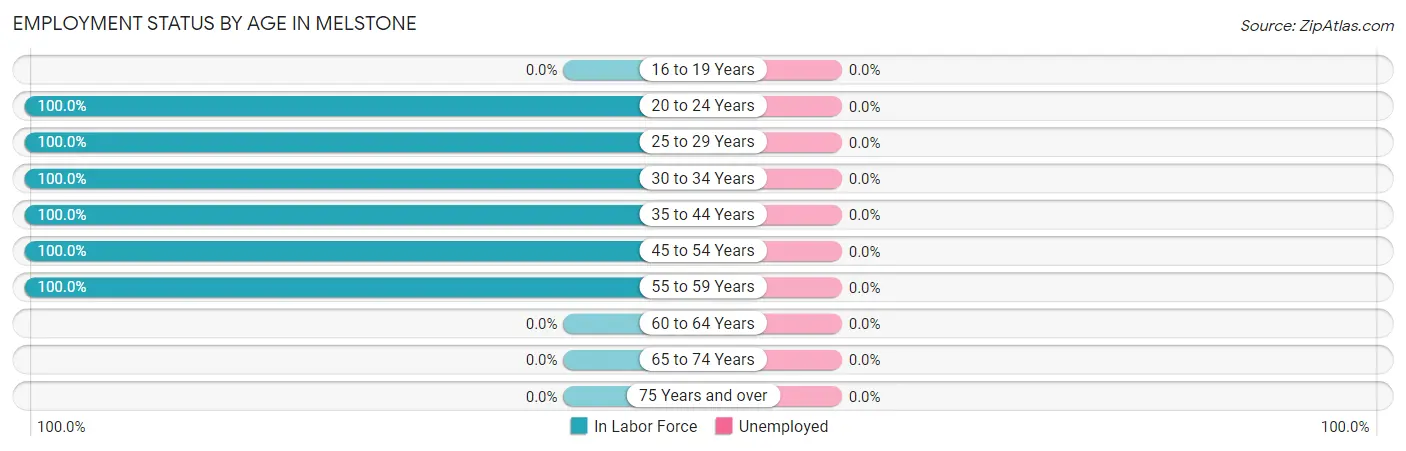 Employment Status by Age in Melstone
