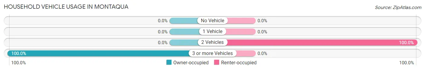 Household Vehicle Usage in Montaqua