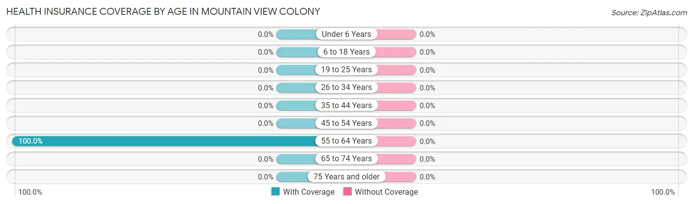 Health Insurance Coverage by Age in Mountain View Colony