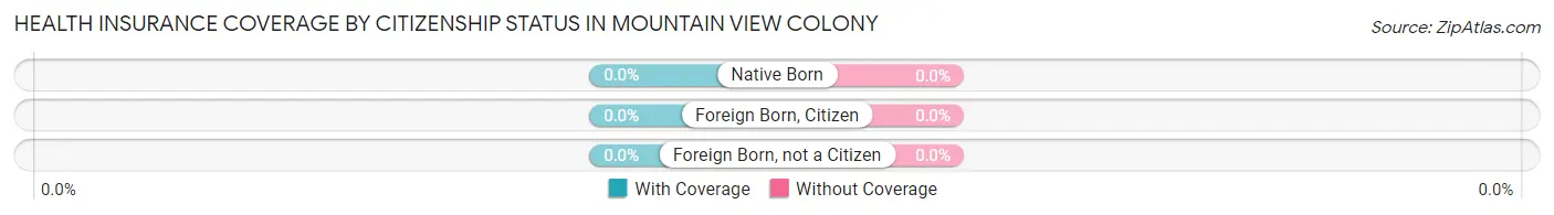 Health Insurance Coverage by Citizenship Status in Mountain View Colony