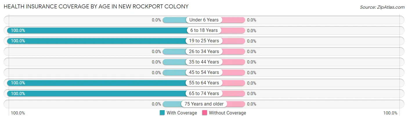 Health Insurance Coverage by Age in New Rockport Colony