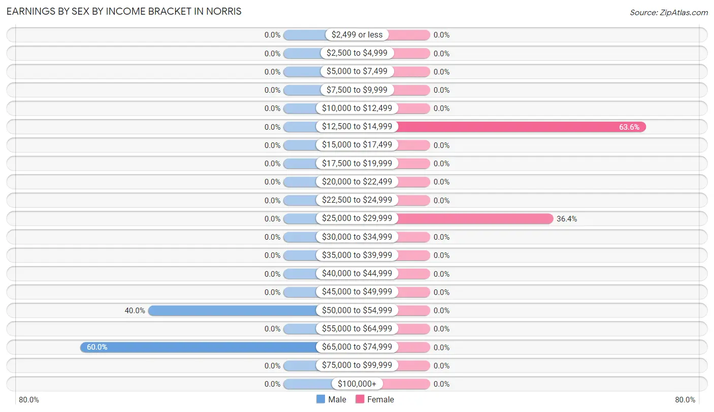 Earnings by Sex by Income Bracket in Norris