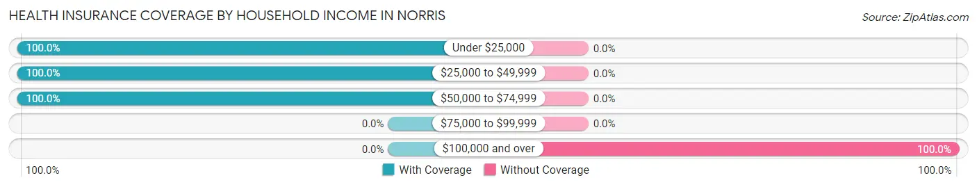 Health Insurance Coverage by Household Income in Norris