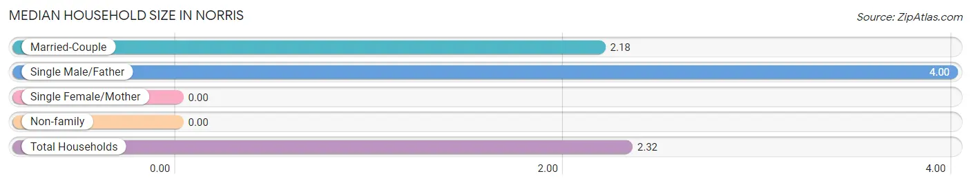 Median Household Size in Norris