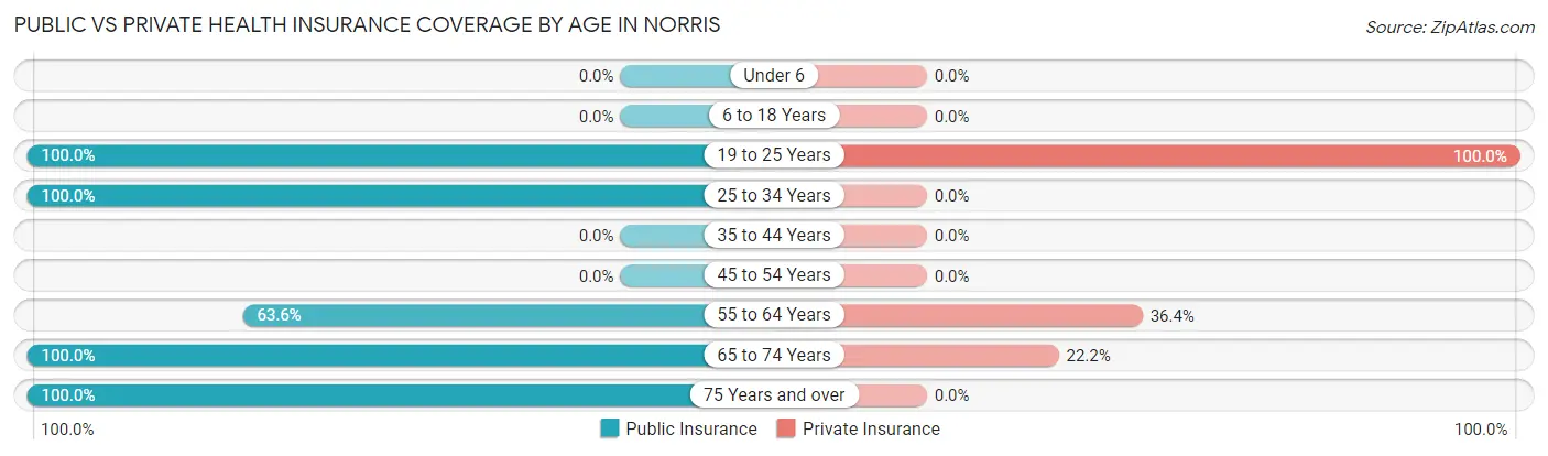 Public vs Private Health Insurance Coverage by Age in Norris