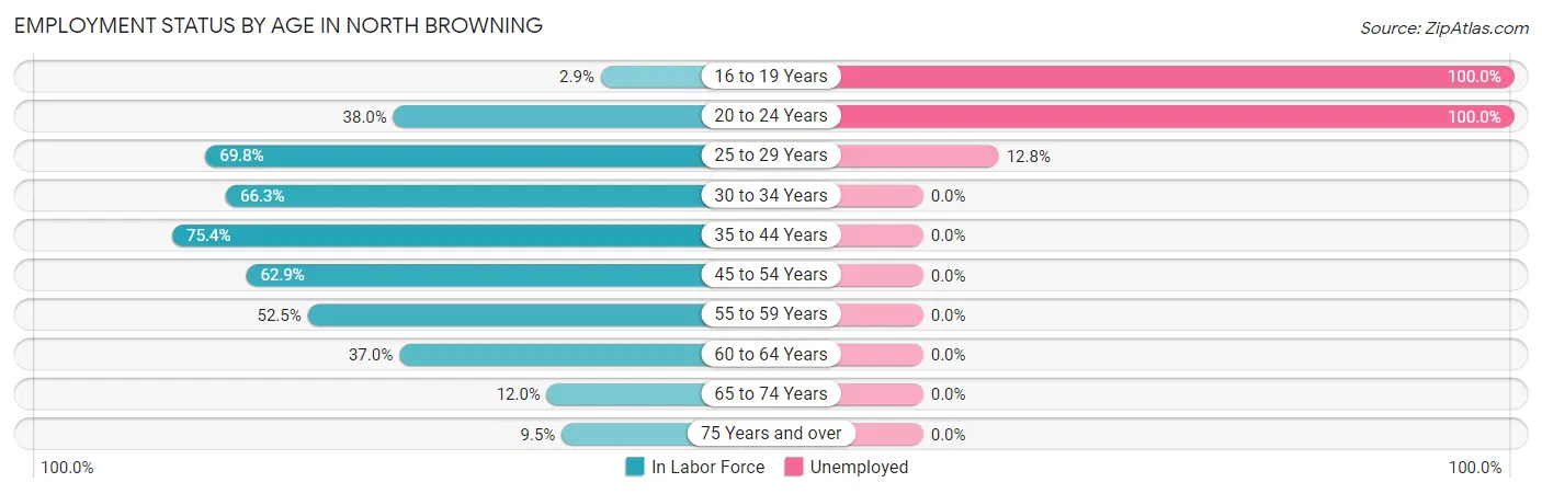 Employment Status by Age in North Browning