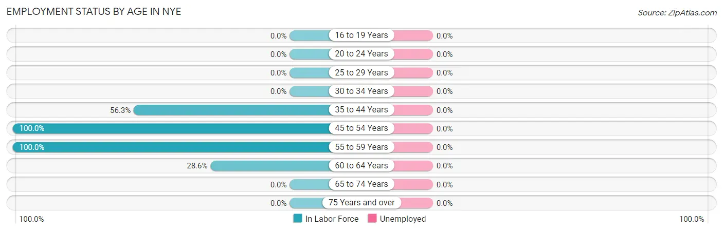 Employment Status by Age in Nye