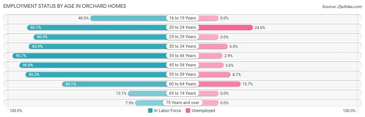 Employment Status by Age in Orchard Homes