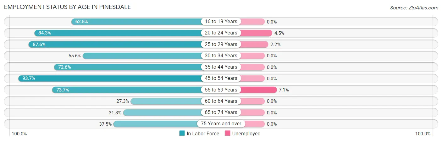 Employment Status by Age in Pinesdale