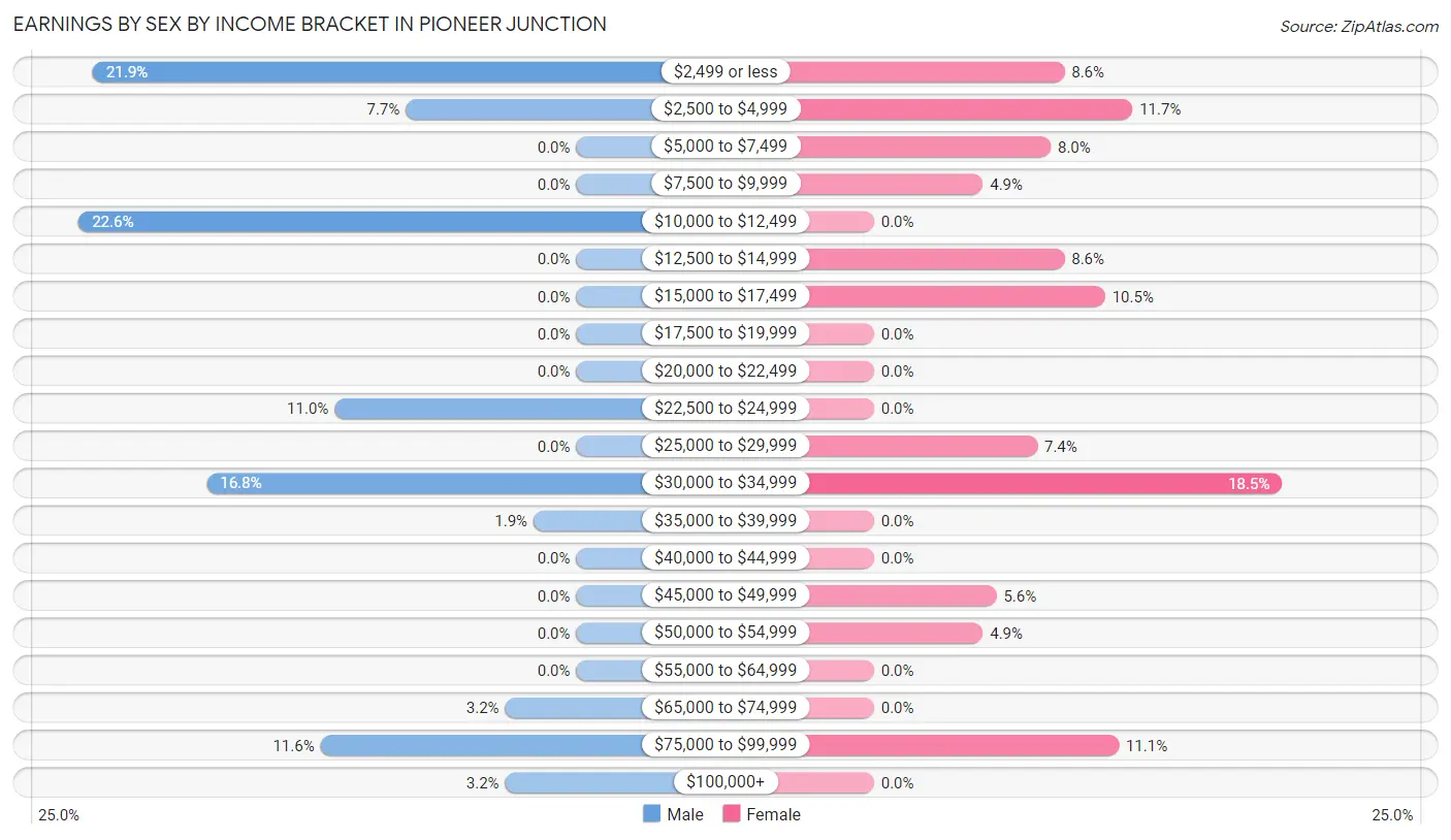 Earnings by Sex by Income Bracket in Pioneer Junction