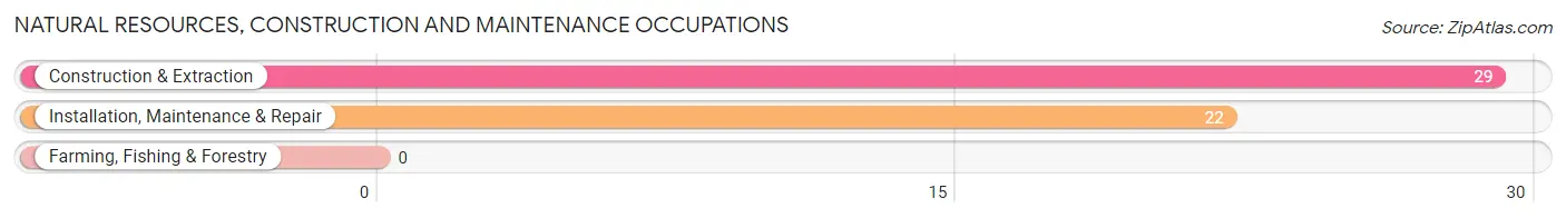 Natural Resources, Construction and Maintenance Occupations in Pioneer Junction