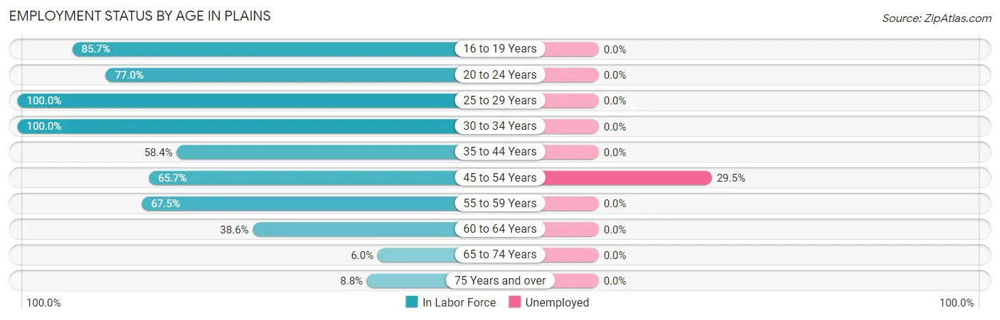 Employment Status by Age in Plains