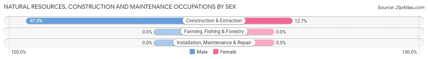 Natural Resources, Construction and Maintenance Occupations by Sex in Plains