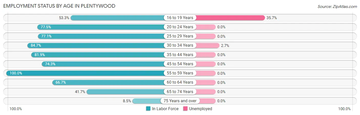 Employment Status by Age in Plentywood