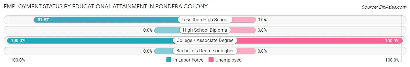 Employment Status by Educational Attainment in Pondera Colony