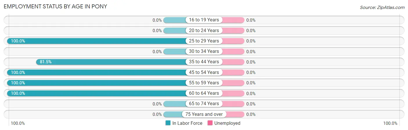 Employment Status by Age in Pony
