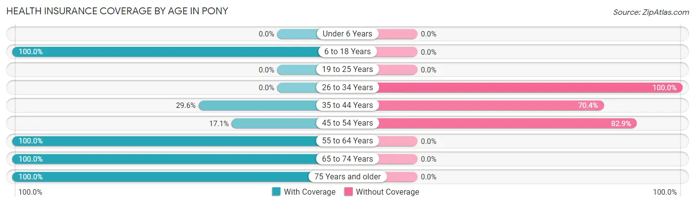Health Insurance Coverage by Age in Pony