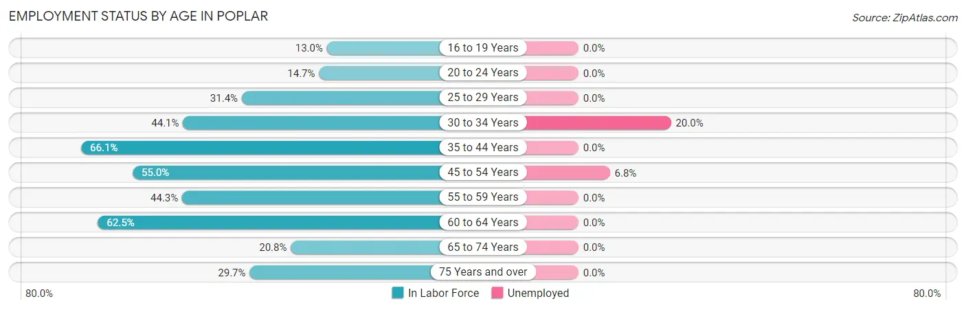 Employment Status by Age in Poplar