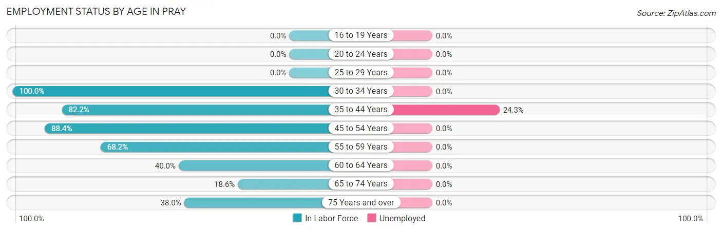 Employment Status by Age in Pray