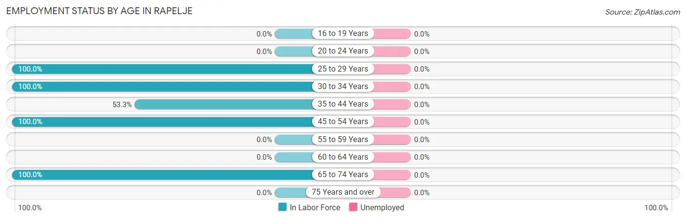 Employment Status by Age in Rapelje